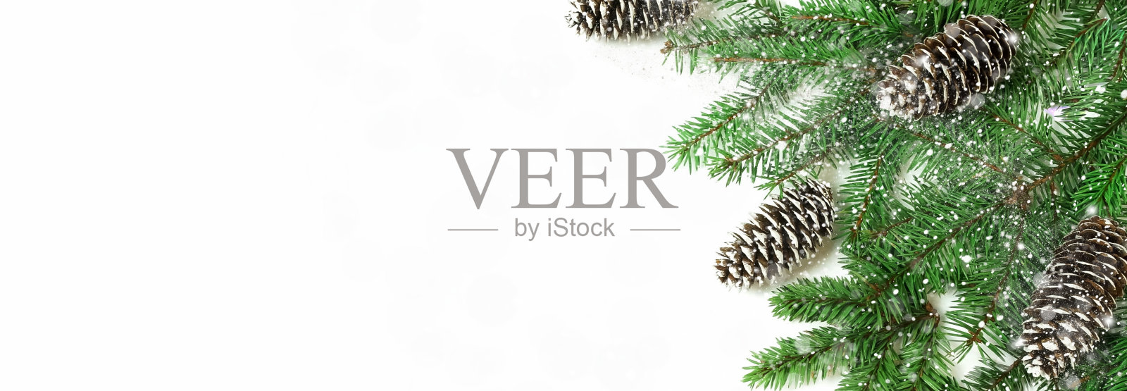 圣诞节背景与复制空间隔离。顶视图杉树树枝框架上的白色背景。照片摄影图片