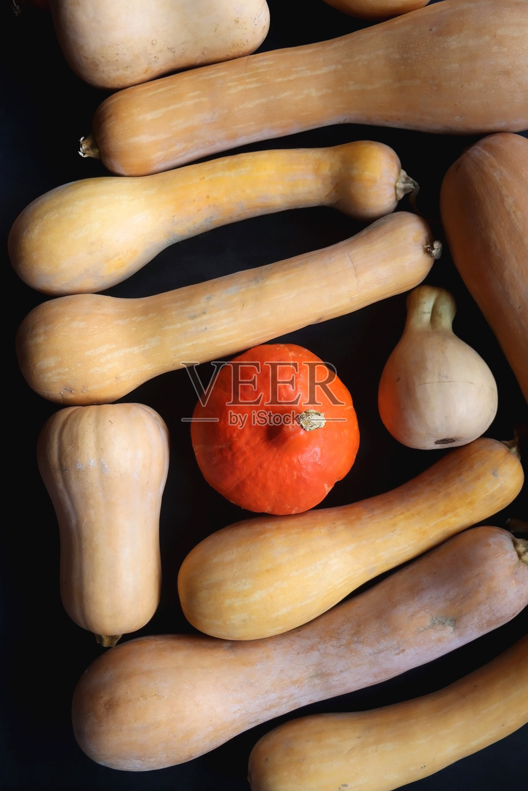 黑暗背景下的南瓜照片摄影图片