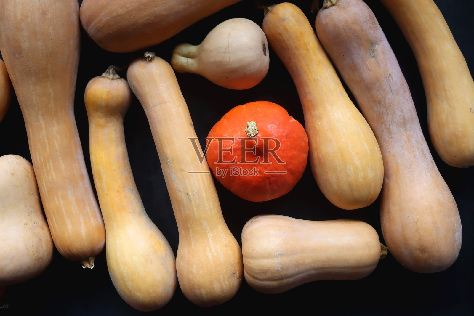 黑暗背景下的南瓜照片摄影图片