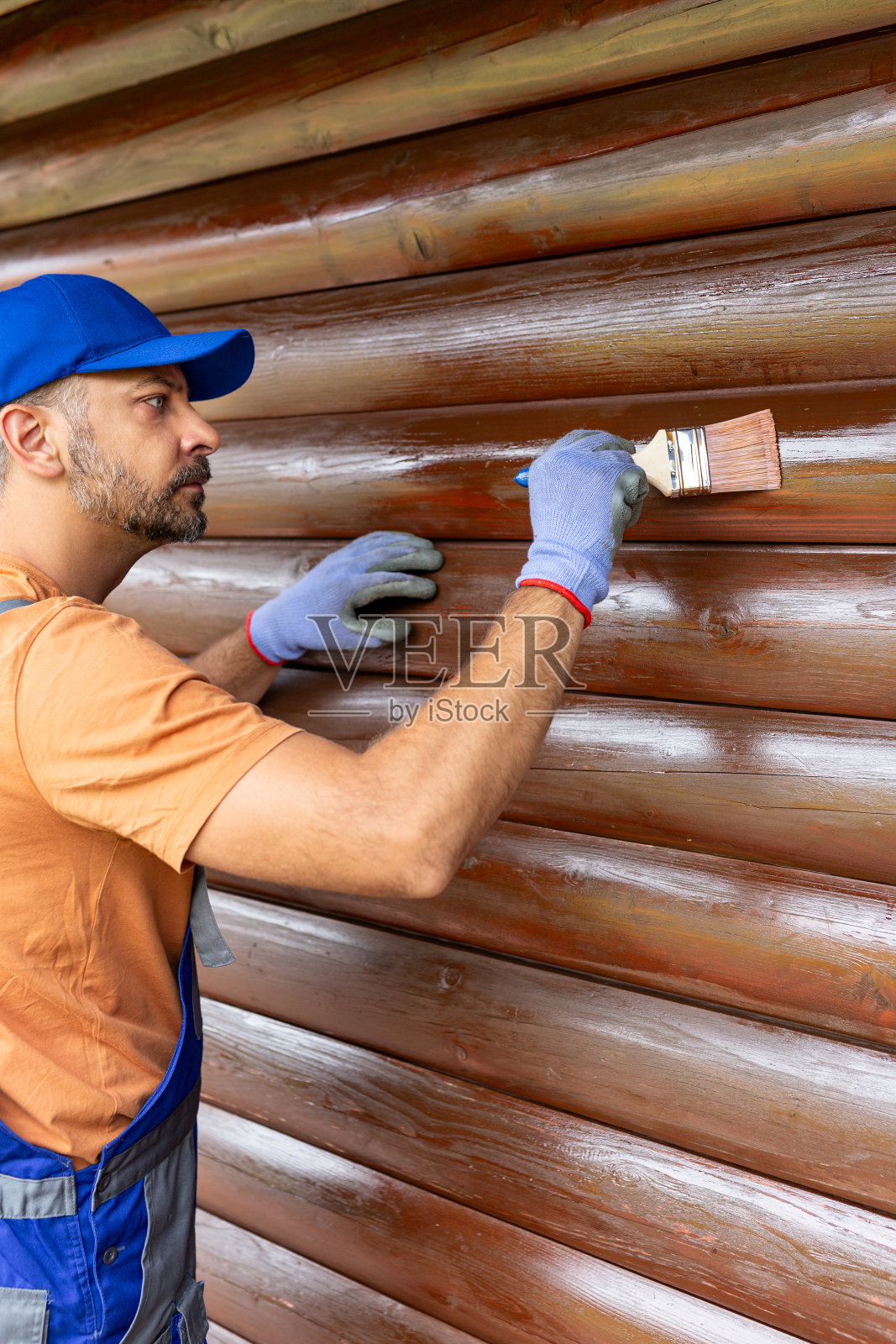 木屋养护理念。人染墙板树干。照片摄影图片