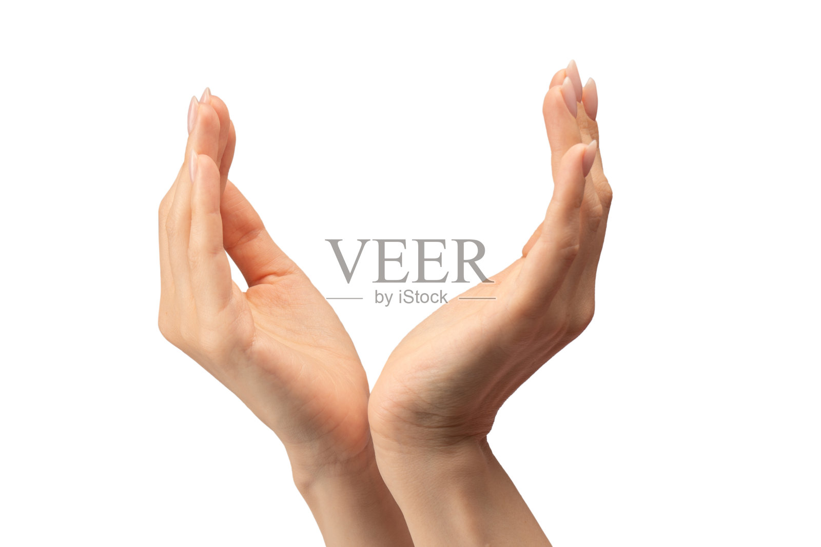 女人的双手被隔离在白色背景上。照片摄影图片