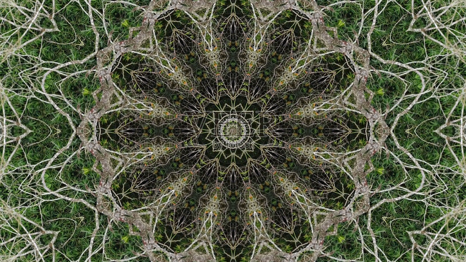 色彩缤纷的万花筒艺术设计抽象的背景与效果多边形圆形点缀。分形曼陀罗，为创意图形设计的数字艺术品照片摄影图片