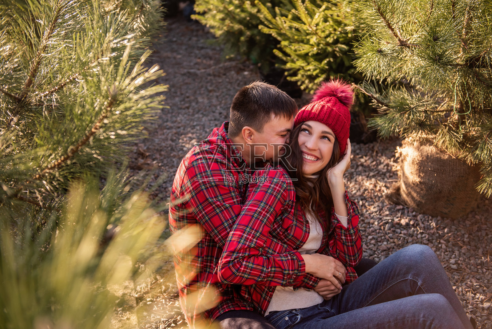 身着红色格子衬衫的年轻夫妇坐在圣诞树苗中间的特写照片照片摄影图片
