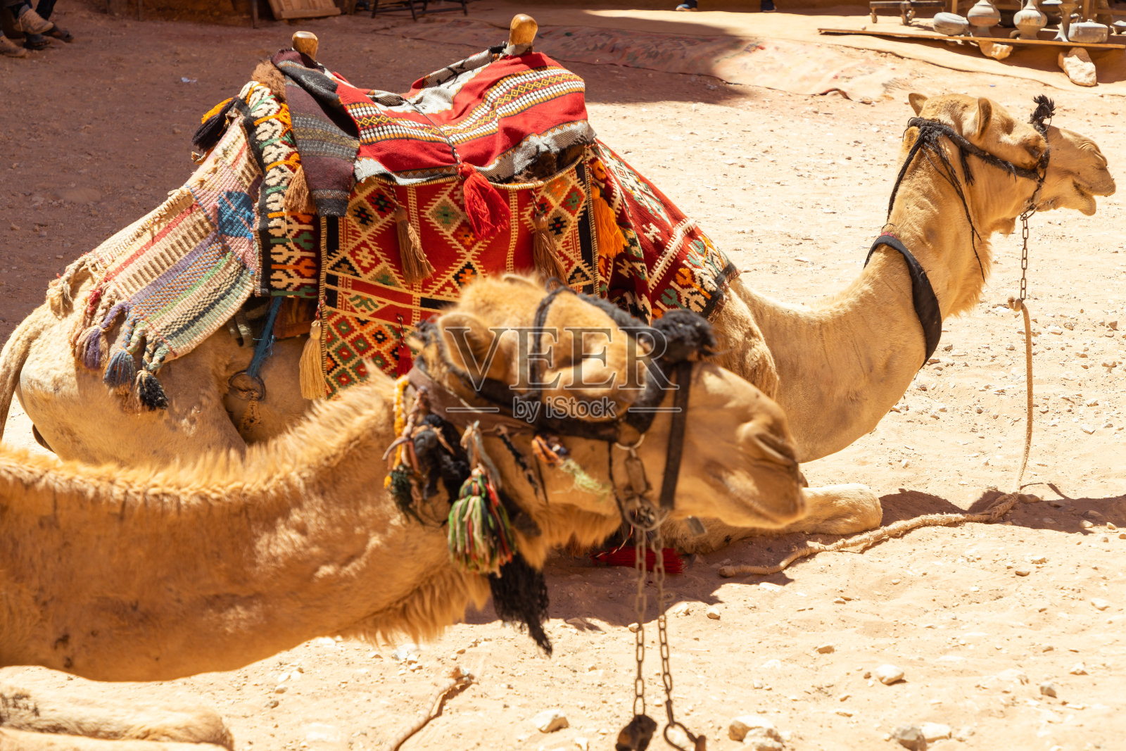 约旦佩特拉的财政部照片摄影图片