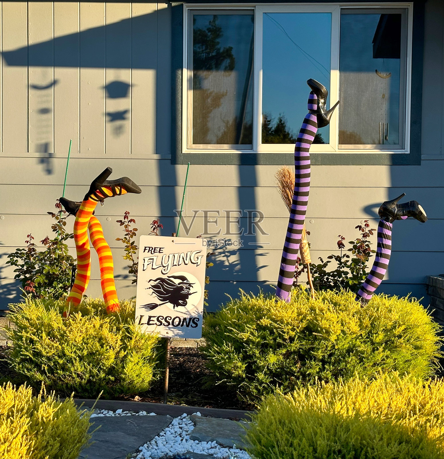 前院的万圣节装饰有两对颠倒的腿。照片摄影图片