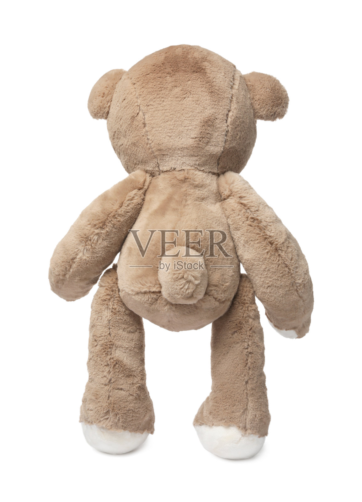 可爱的泰迪熊孤立在白色，背面视图照片摄影图片