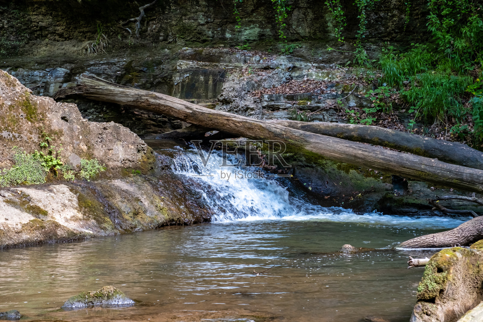 索尔特本公园的一条小溪照片摄影图片