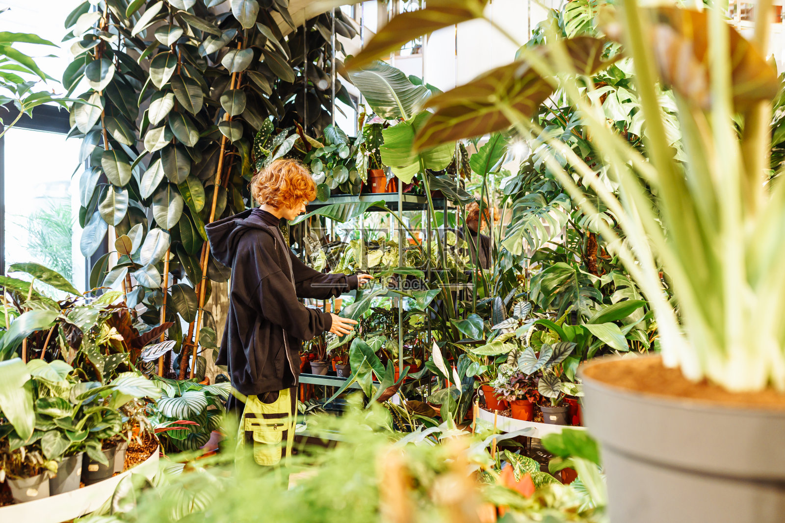 在花卉温室里留着红色卷发的少女肖像照片摄影图片