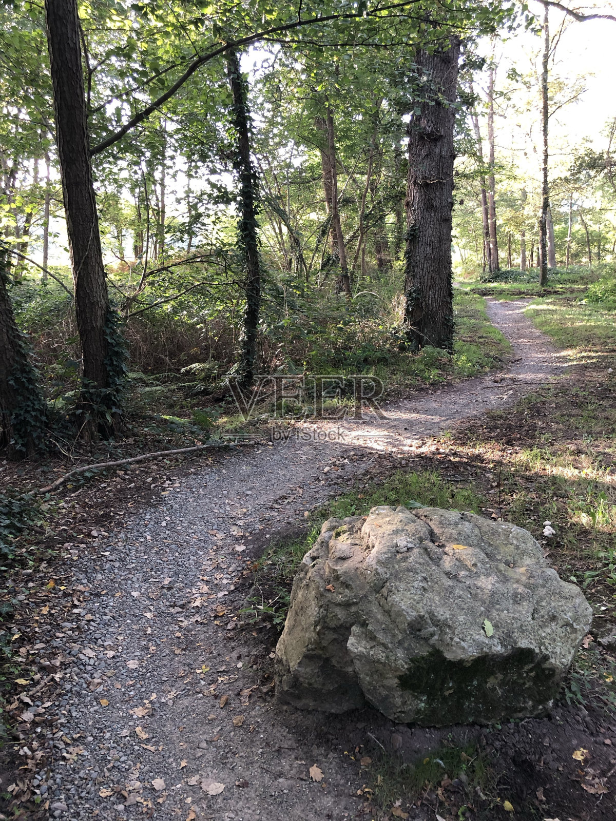 在法国勒芒的森林里，石头和树木之间的一条徒步小径照片摄影图片