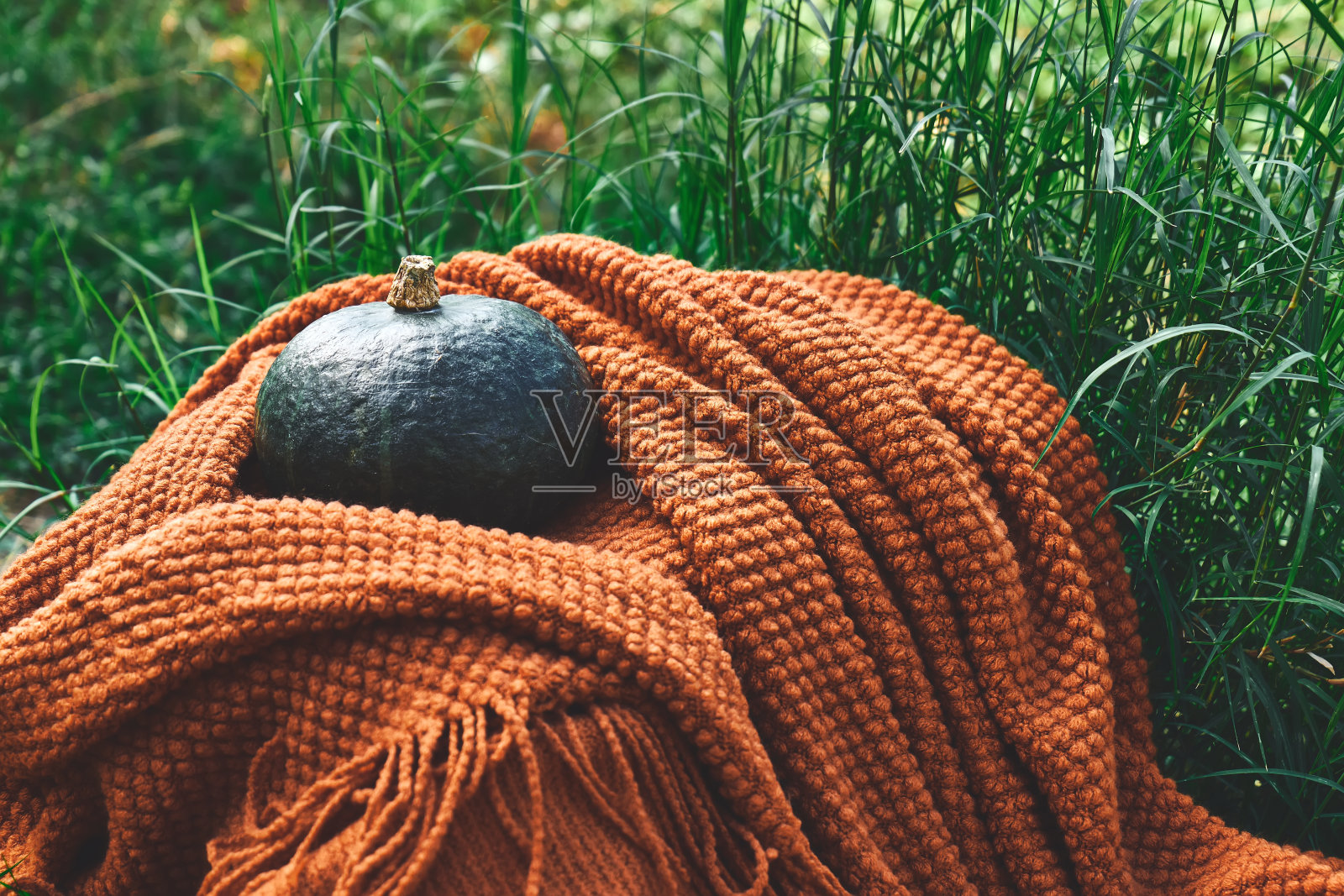 秋收心情。绿草地上的深橙色针织毯上的绿南瓜。秋天的气氛。感恩节和万圣节的背景。照片摄影图片