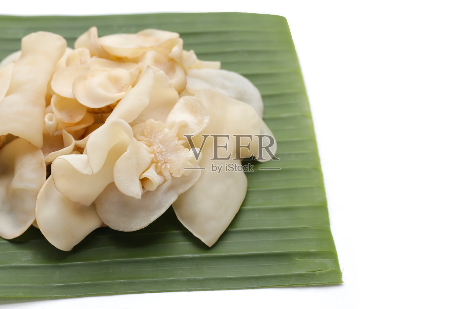 白果冻菇或白耳菇照片摄影图片