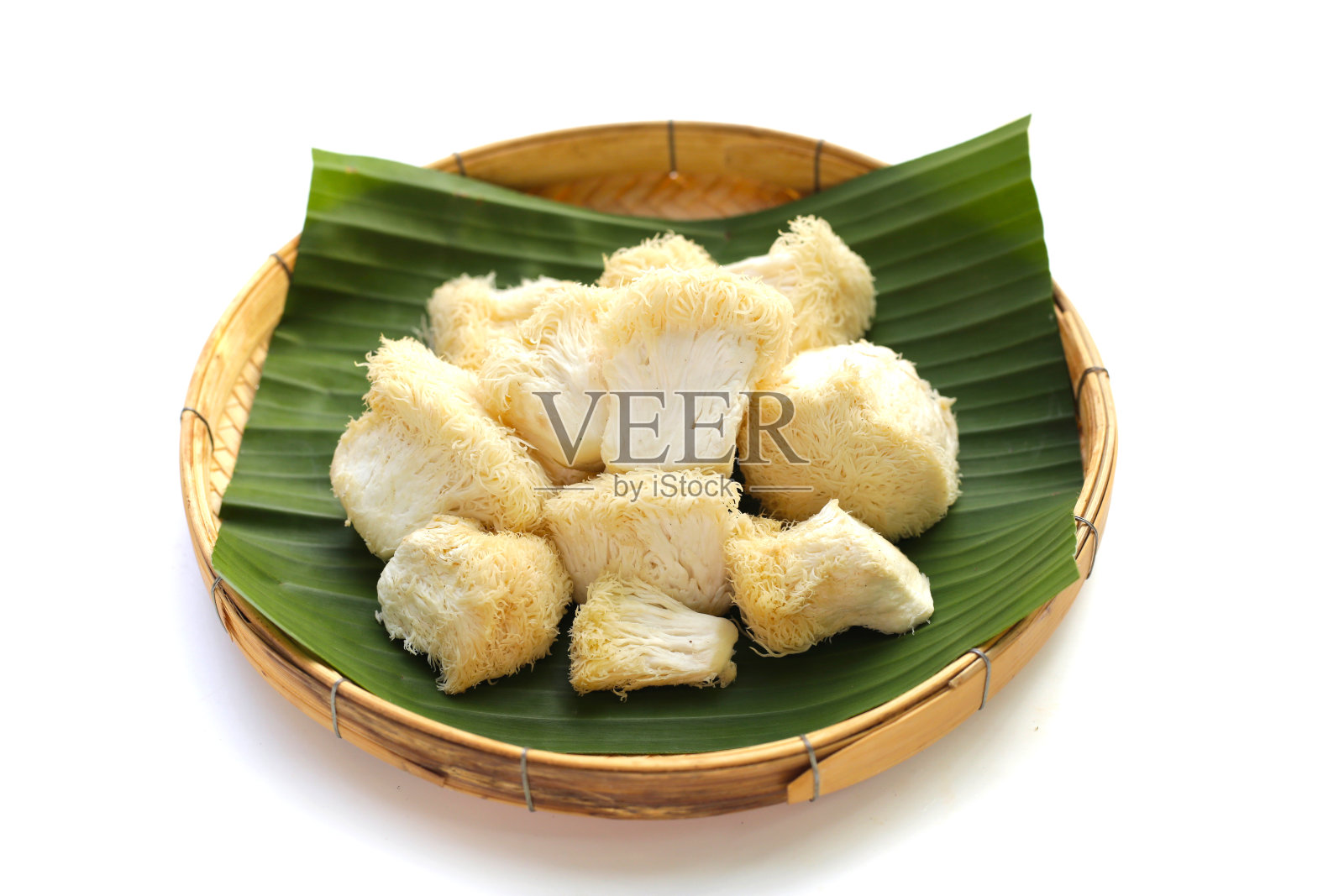 新鲜的狮子鬃毛蘑菇在白色的背景。(Yamabushitake蘑菇)照片摄影图片