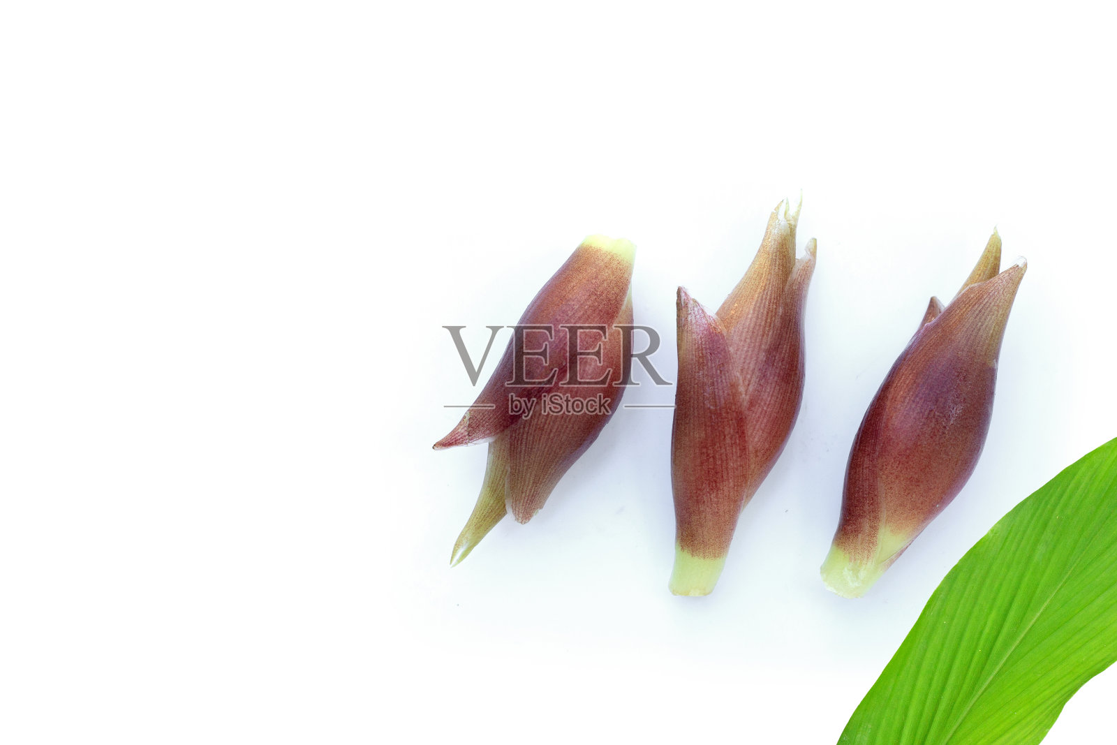 白色背景上的新鲜瑜伽。照片摄影图片