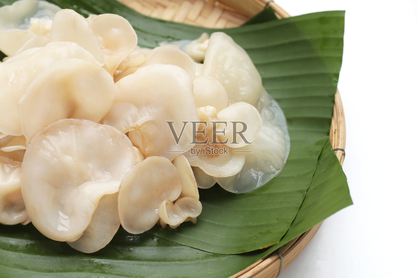 白果冻菇或白耳菇照片摄影图片