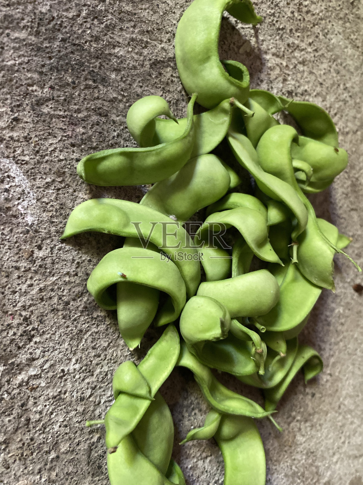 卡拉豆，大豆，bado豆或komak豆Lablab purpureus是豆科豆科的一种豆类照片摄影图片