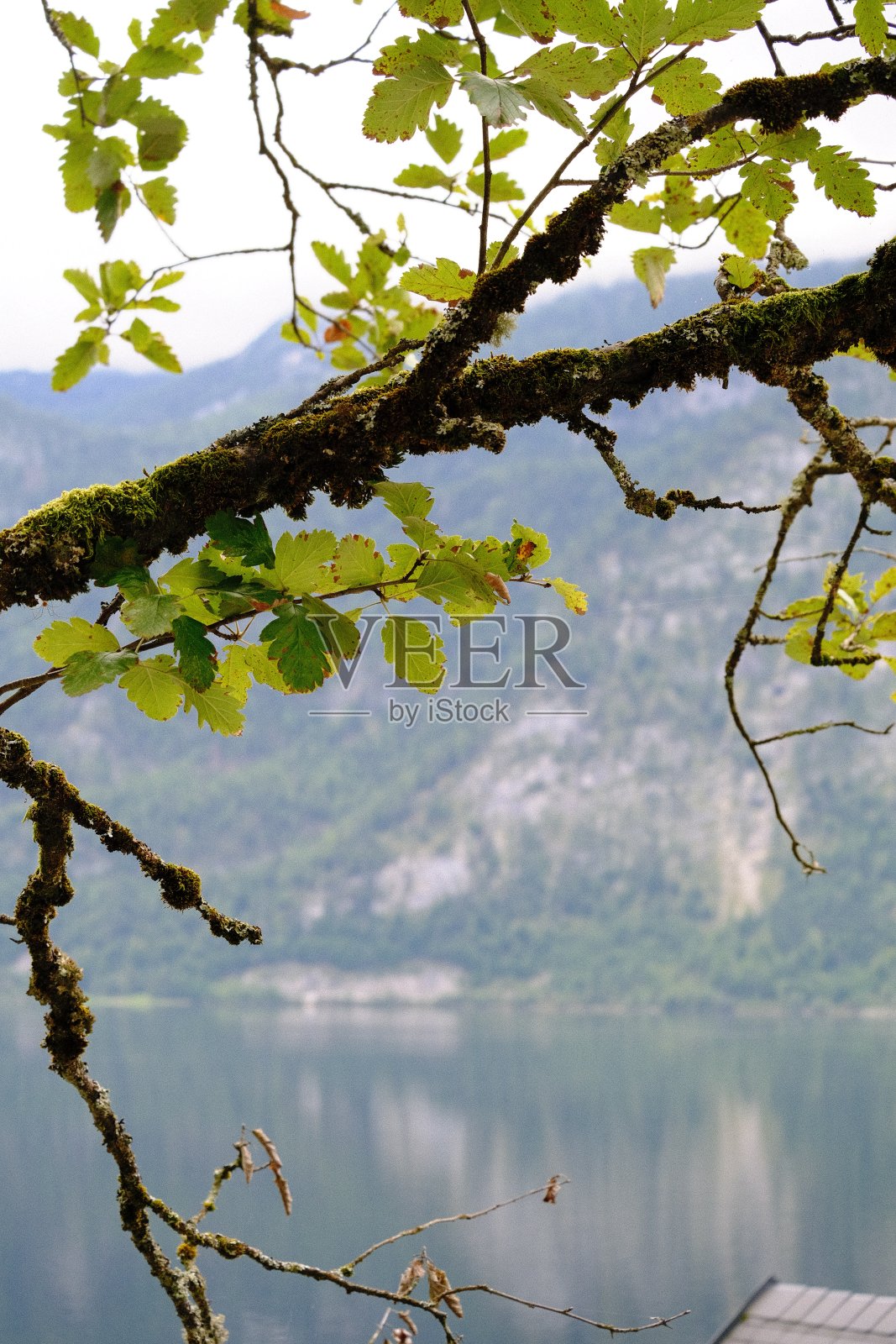 萨尔茨卡默古特地区夏季美丽的阳光下，奥地利阿尔卑斯山著名的哈尔施塔特山村风景如画照片摄影图片