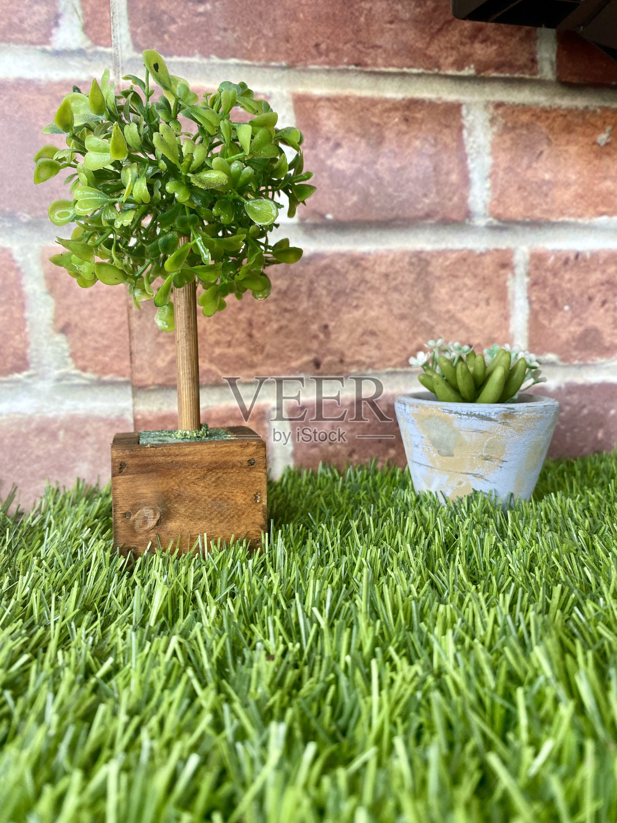 假植物木背景家装照片摄影图片