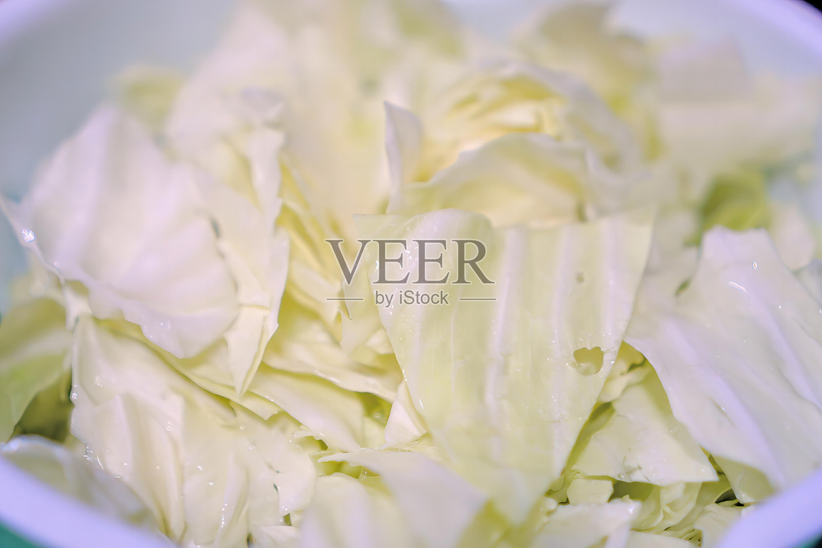 花的特写。照片摄影图片