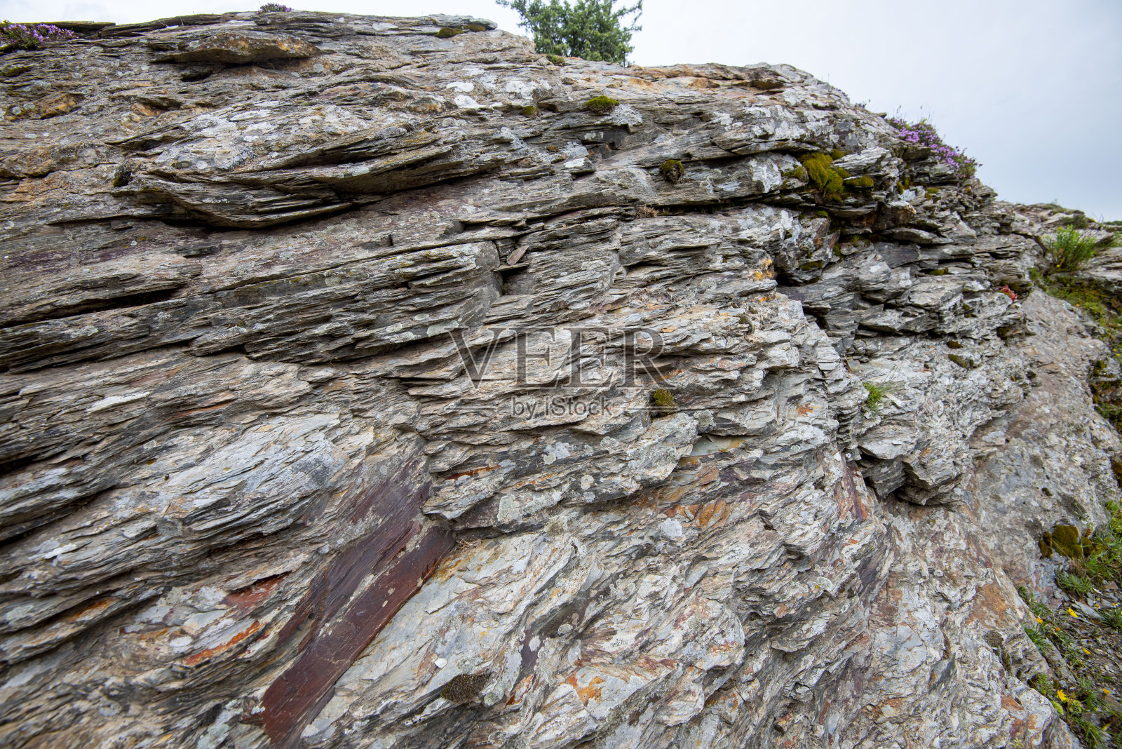 变质板岩照片摄影图片