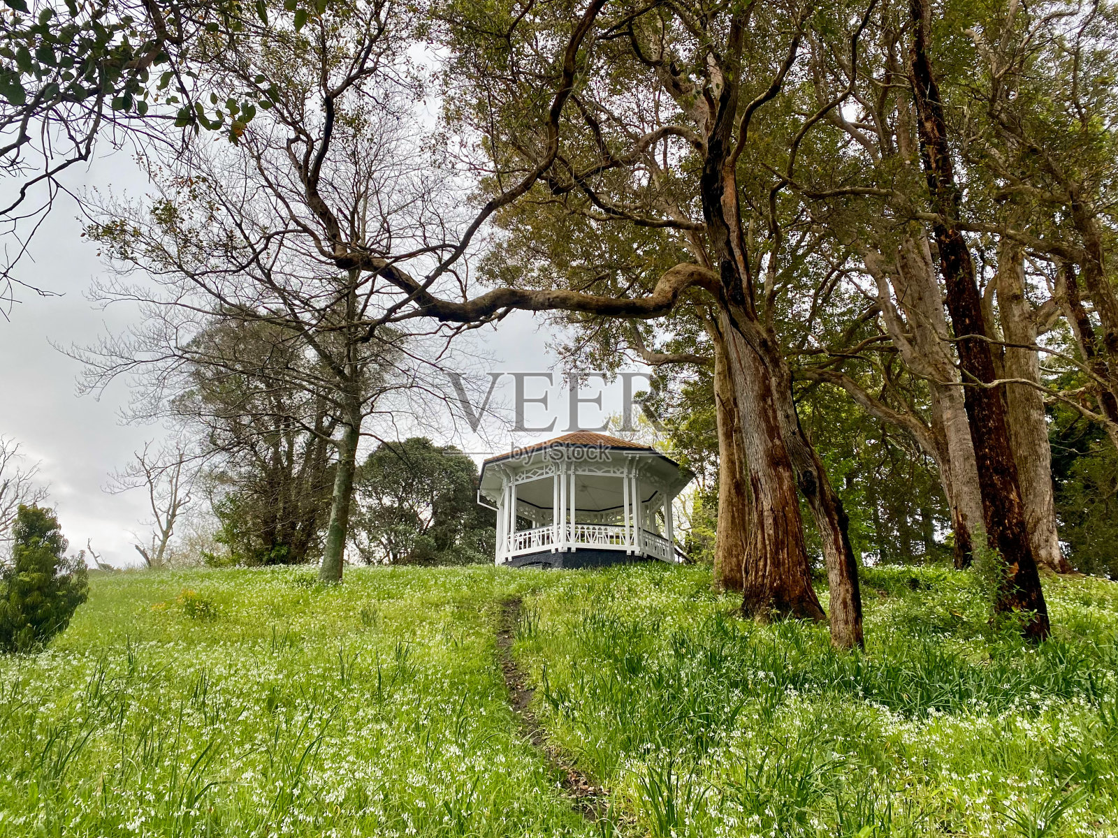 春花亭照片摄影图片