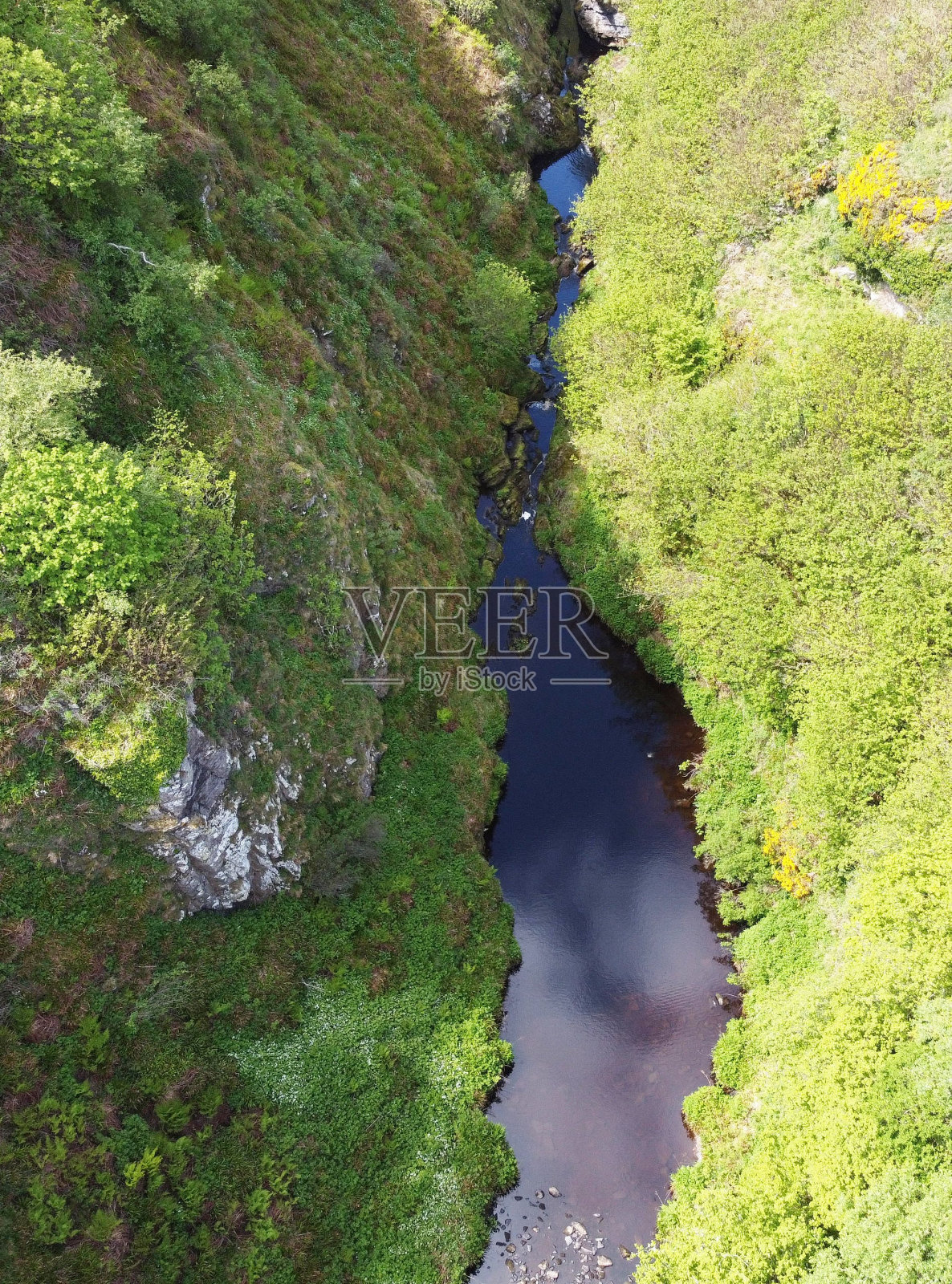 宁静的山间溪流蜿蜒穿过苏格兰利伯斯特郁郁葱葱的绿色山谷照片摄影图片