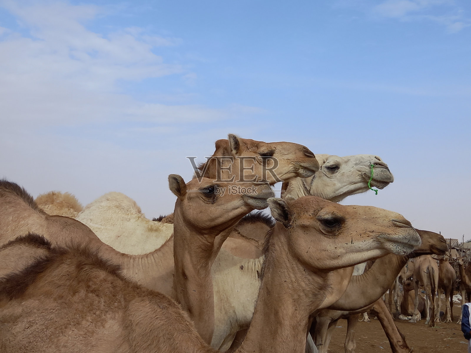 期待照片摄影图片
