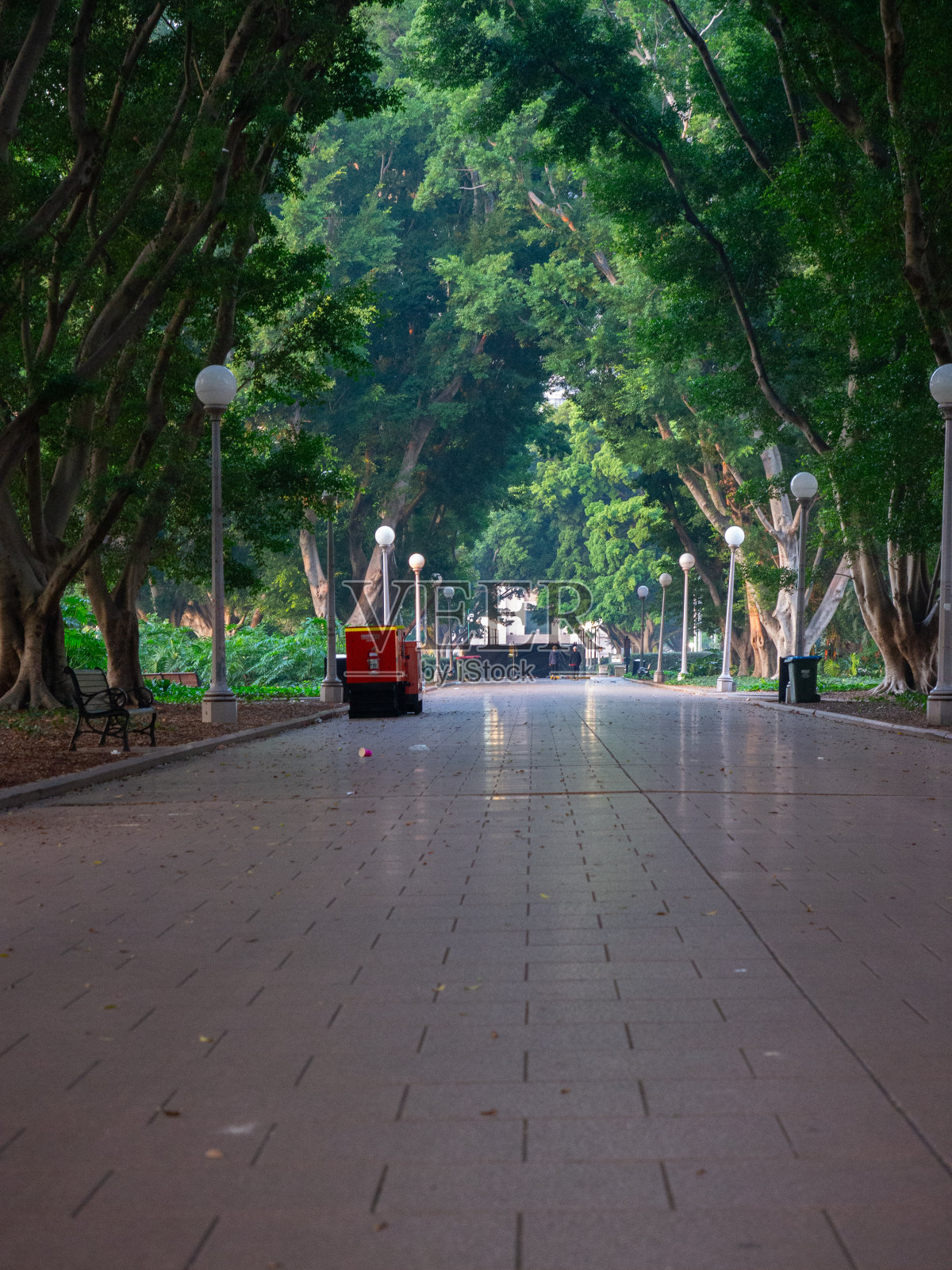 悉尼海德公园的步道照片摄影图片