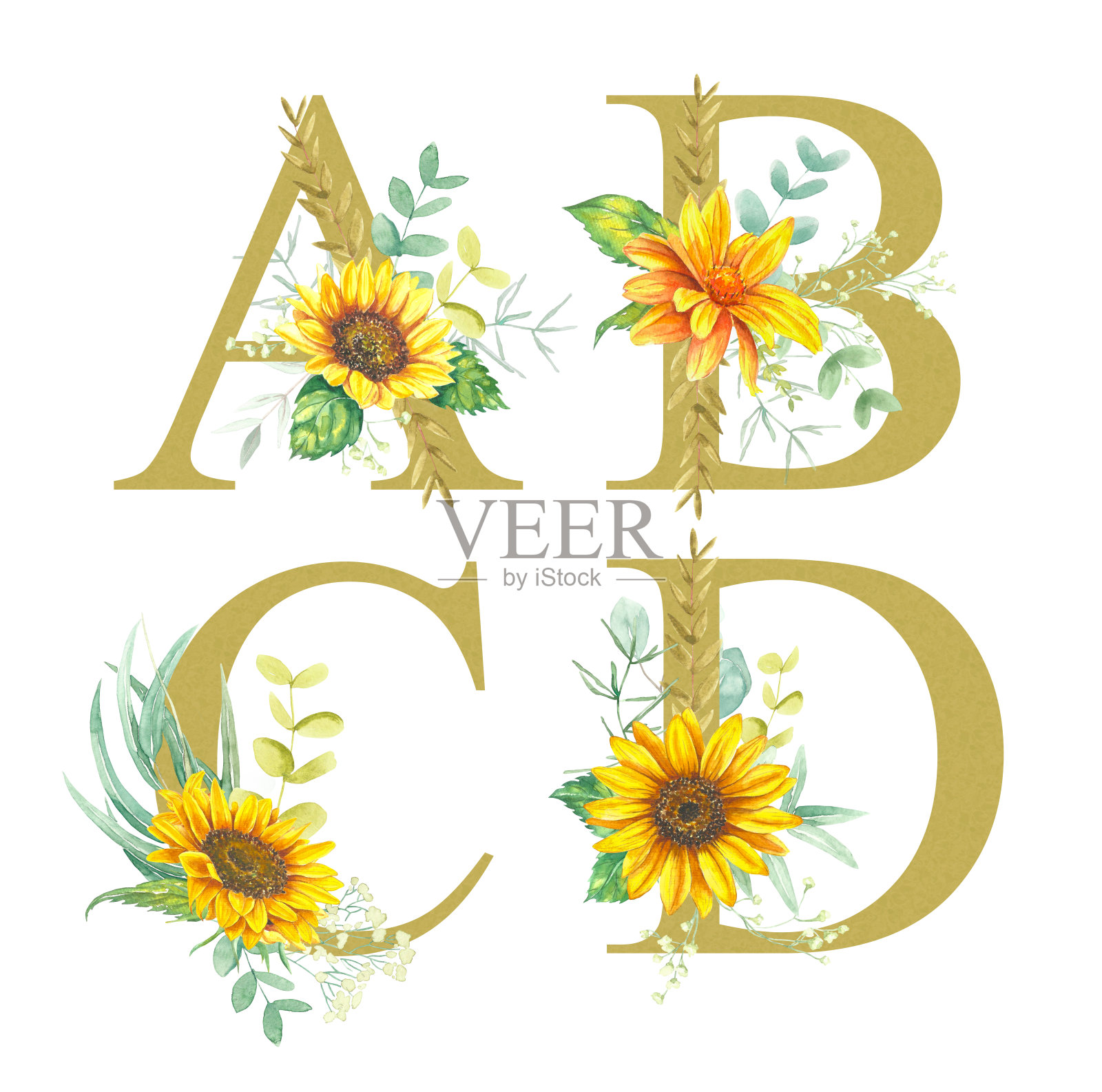 花卉字母集-字母A, B, C, d字母，用向日葵，桉树和各种草药的水彩花装饰。插画图片素材