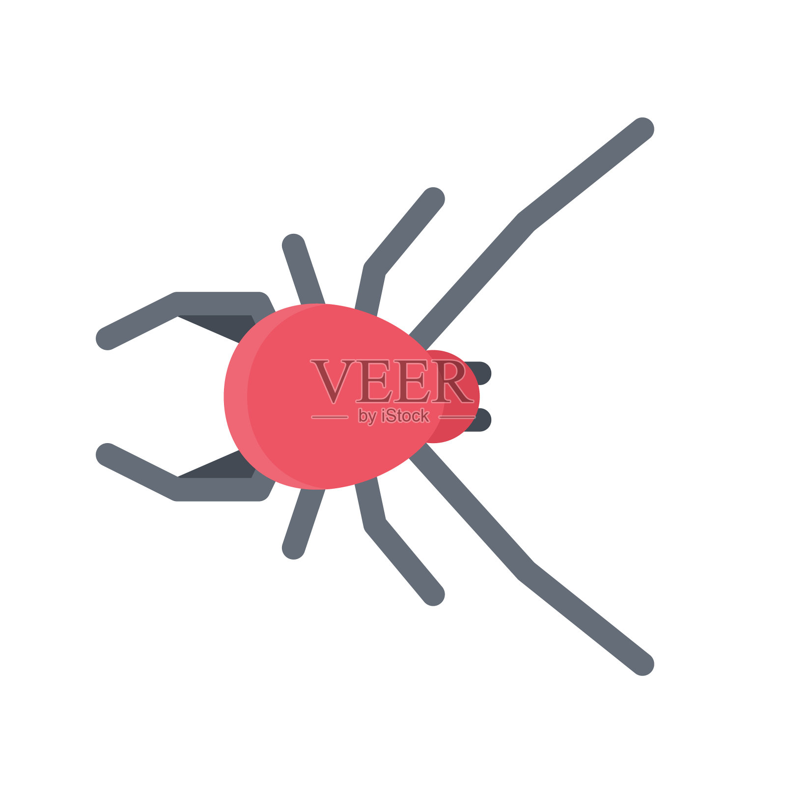 设计矢量图像图标蜘蛛插画图片素材