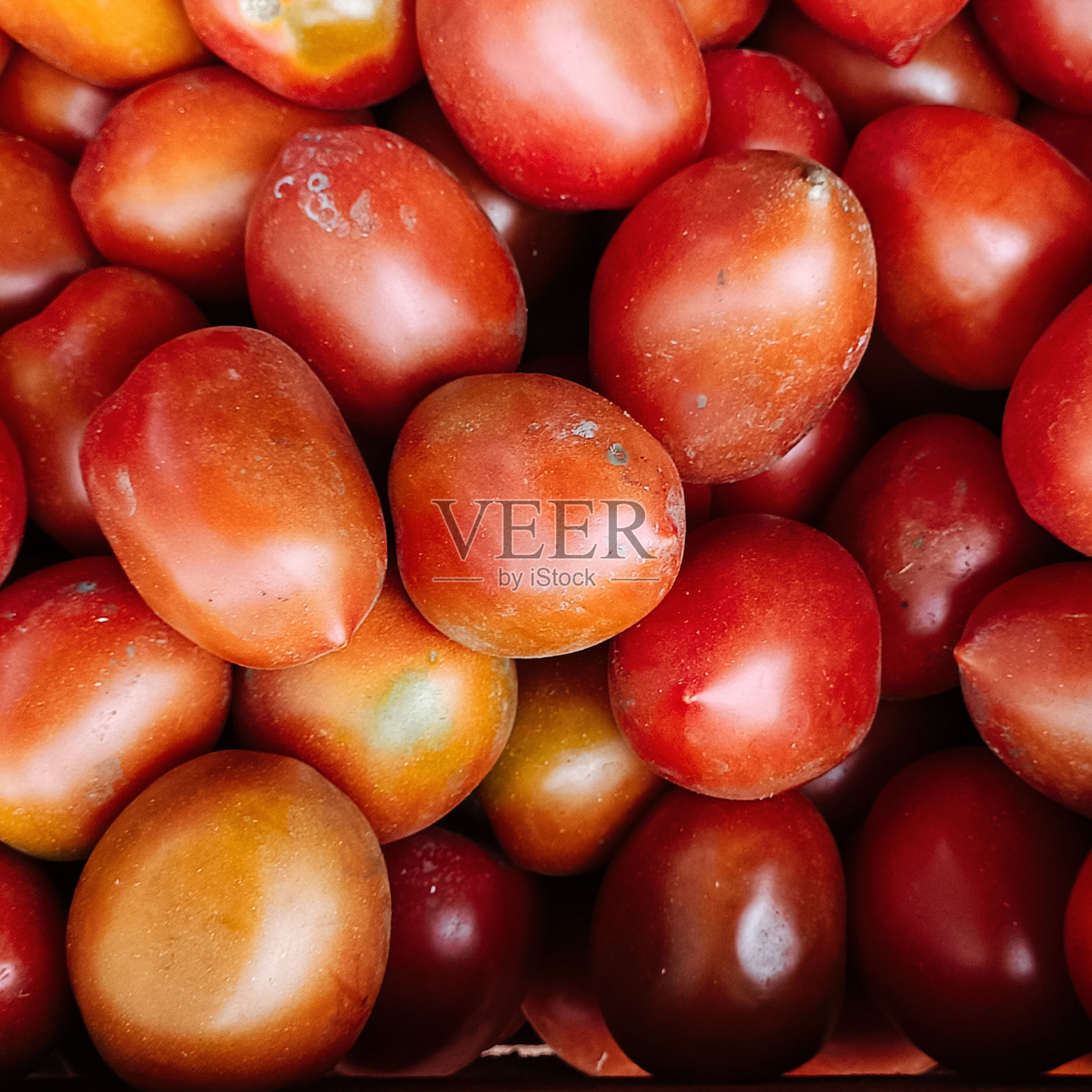 新鲜的番茄照片摄影图片