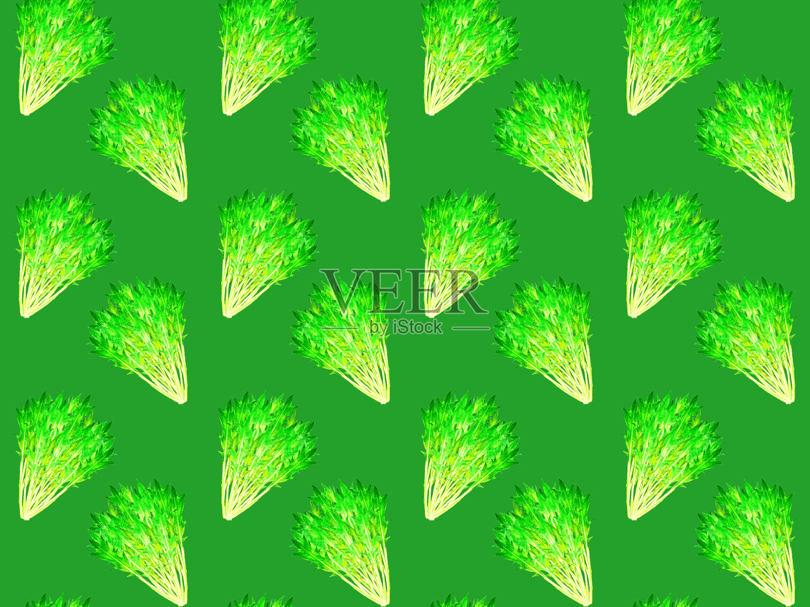 水草的无缝图案。蔬菜图案与手绘水彩插图。插画图片素材