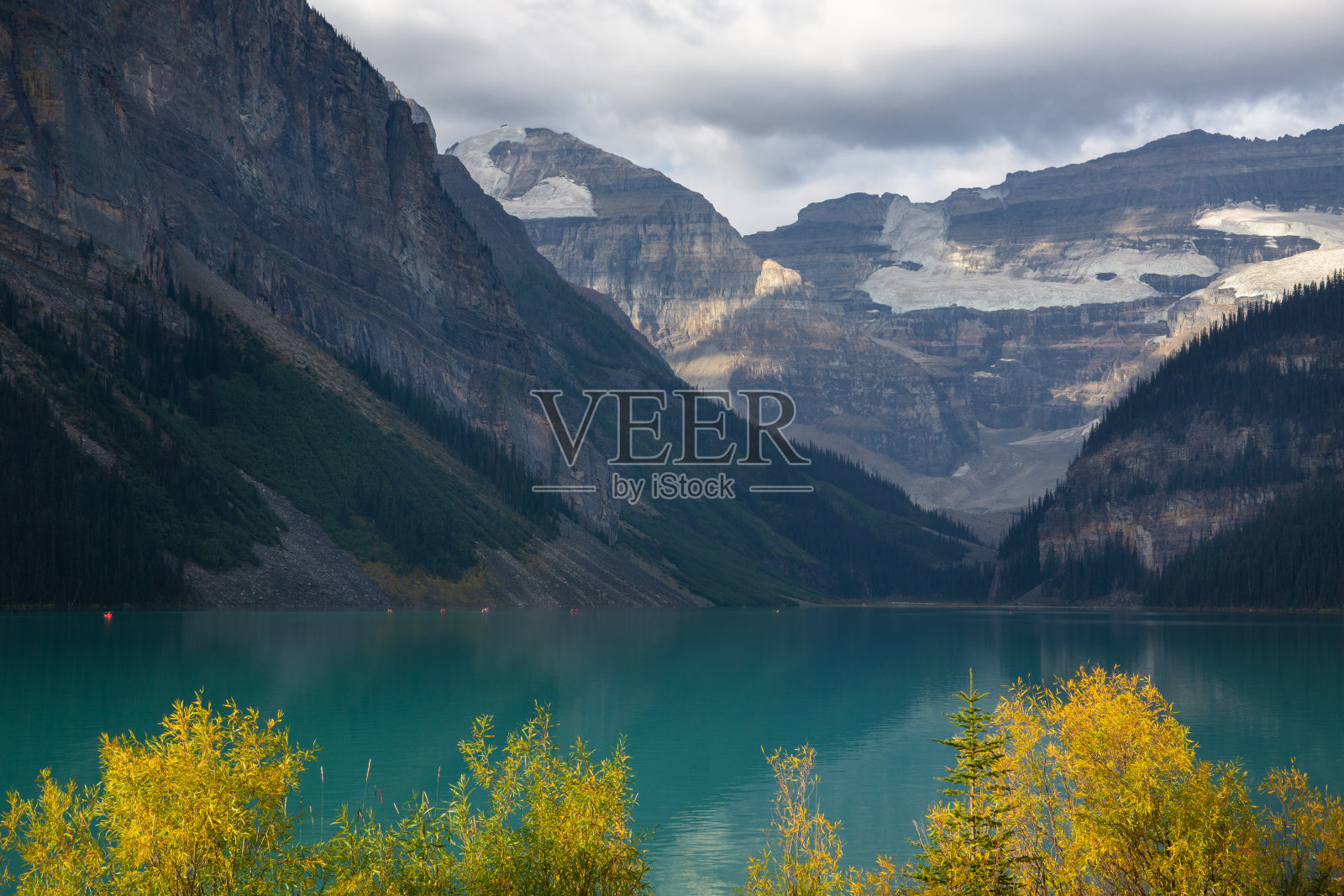 秋天，在加拿大阿尔伯塔省的班夫国家公园里，鲜艳的黄色树叶衬着蓝绿色的路易斯湖照片摄影图片