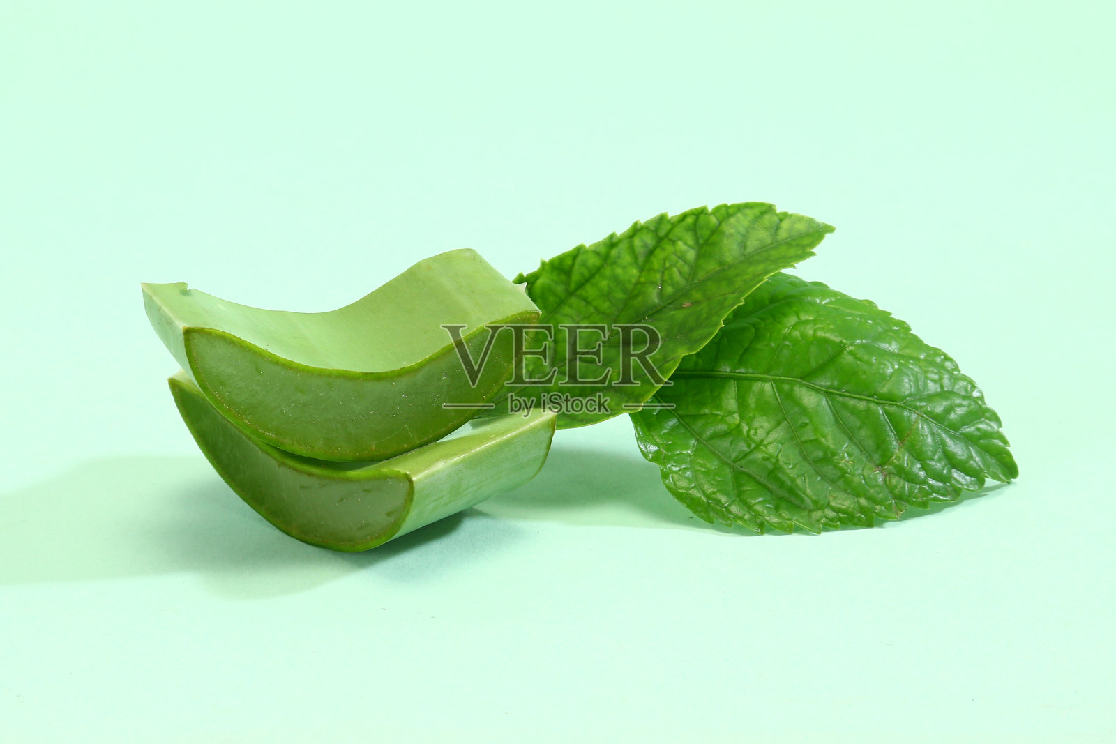 芦荟或芦荟，天然凝胶植物照片摄影图片