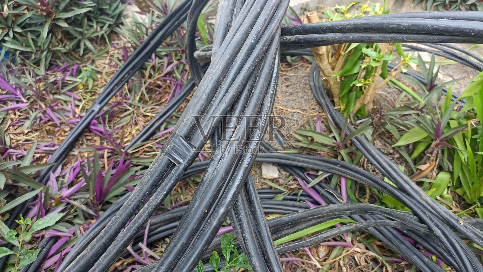 未由PLN安装的电缆照片照片摄影图片