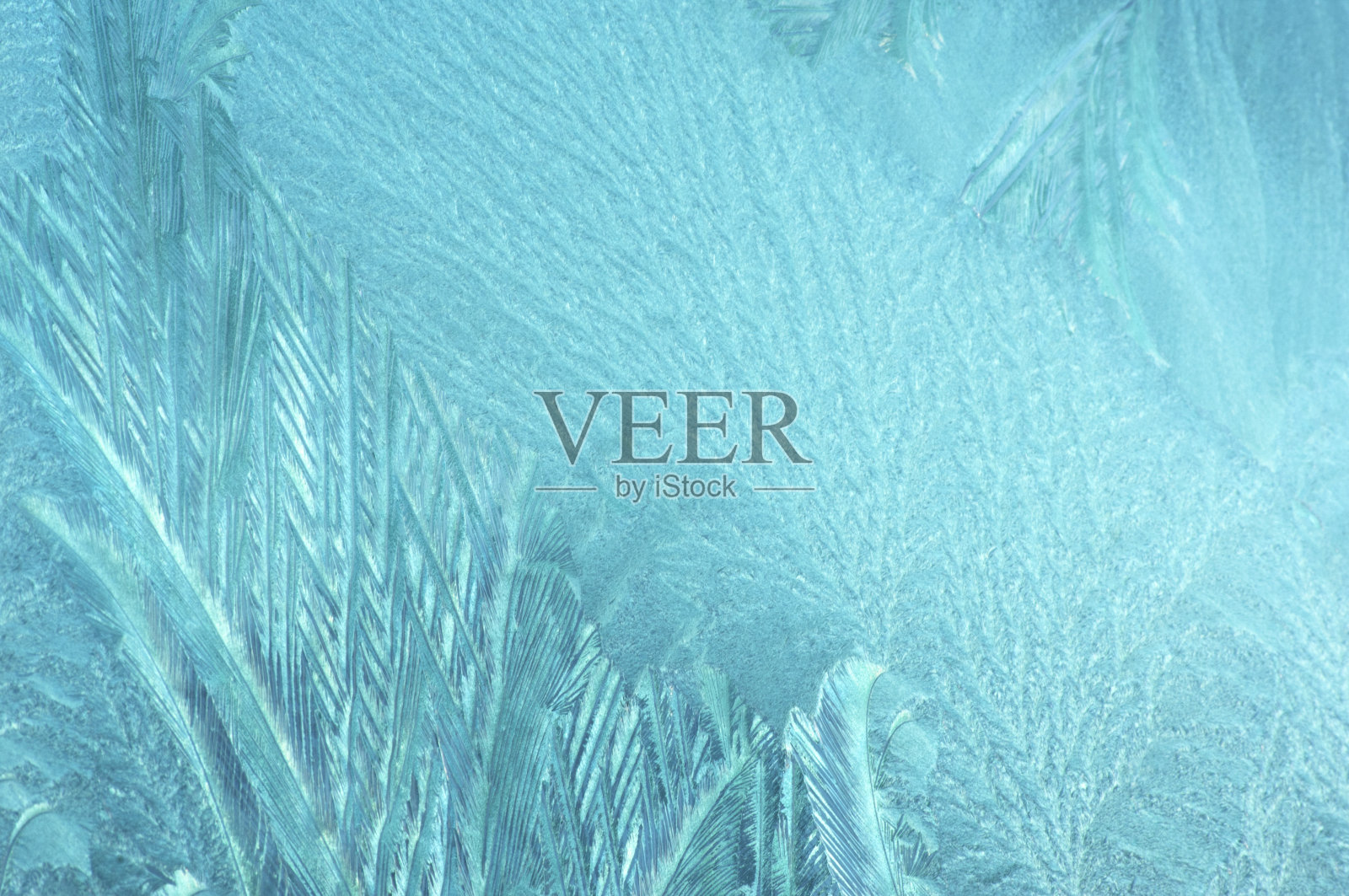 玻璃上的冰照片摄影图片