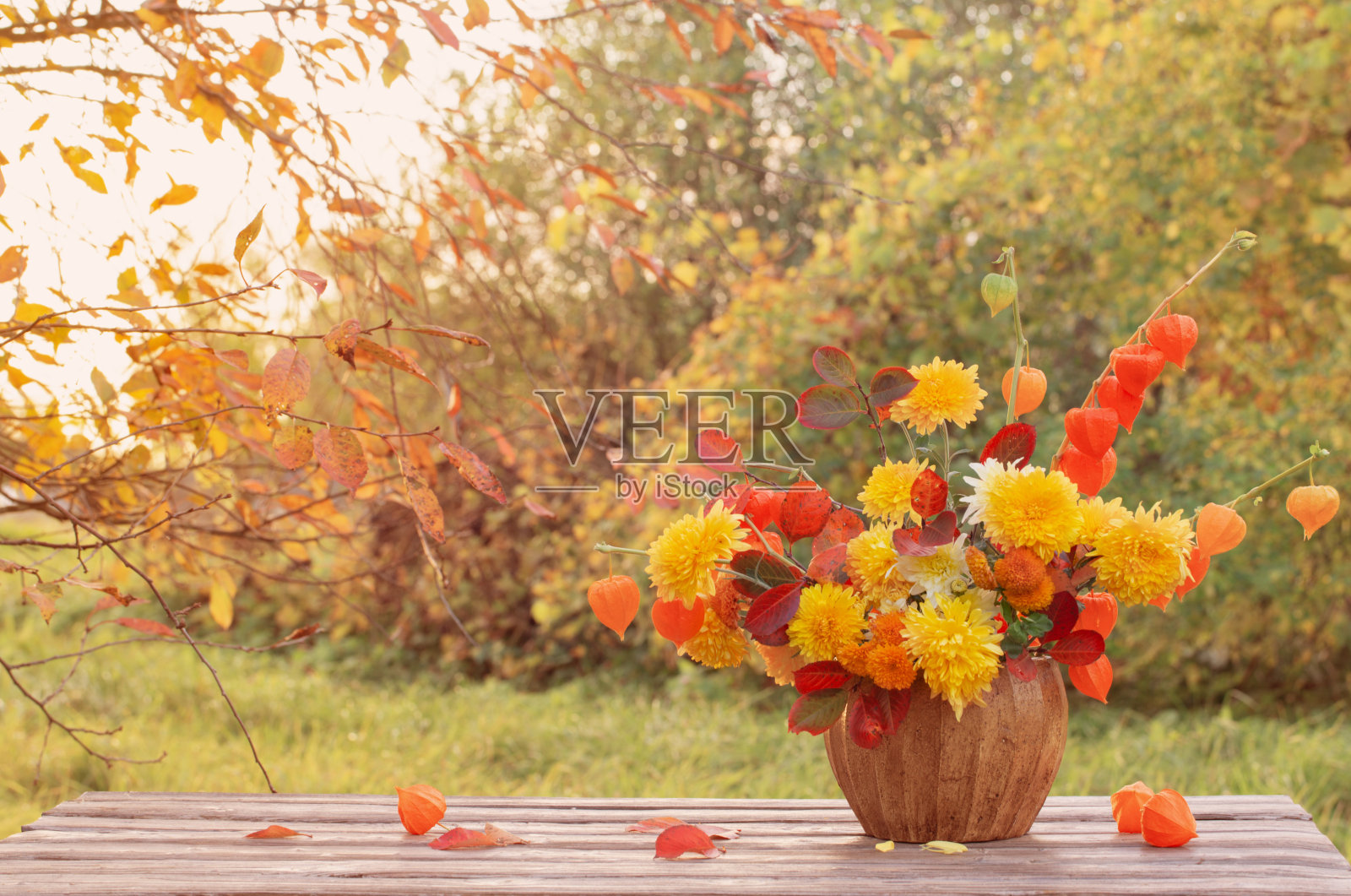 花园里木桌上美丽的秋天花束照片摄影图片
