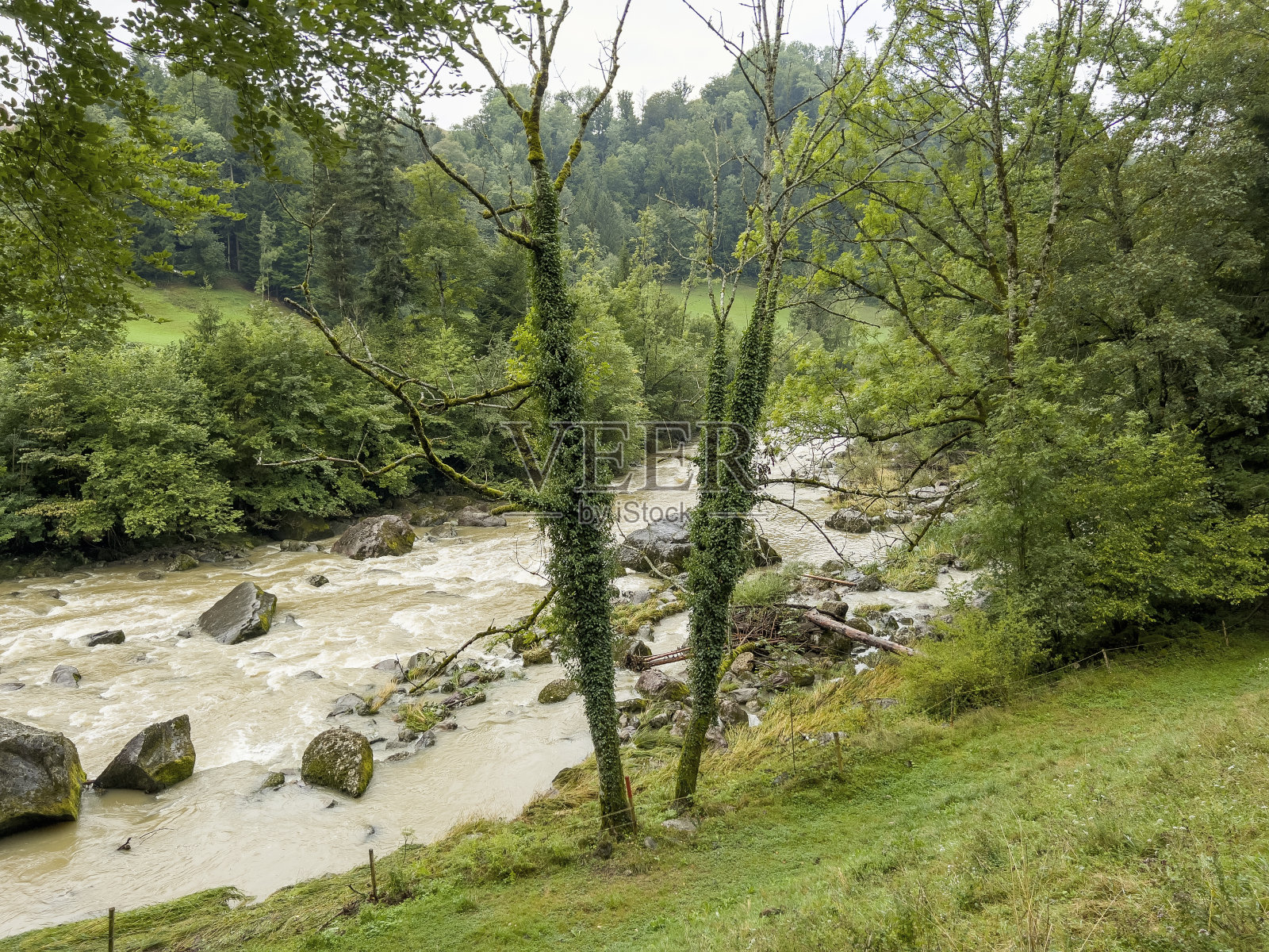瑞士一条水流浑浊的大溪流照片摄影图片