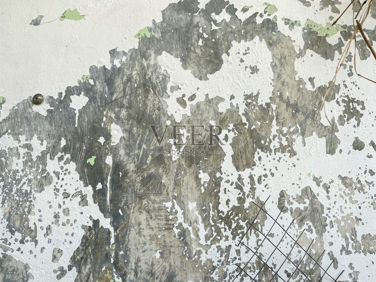 了油漆。照片摄影图片