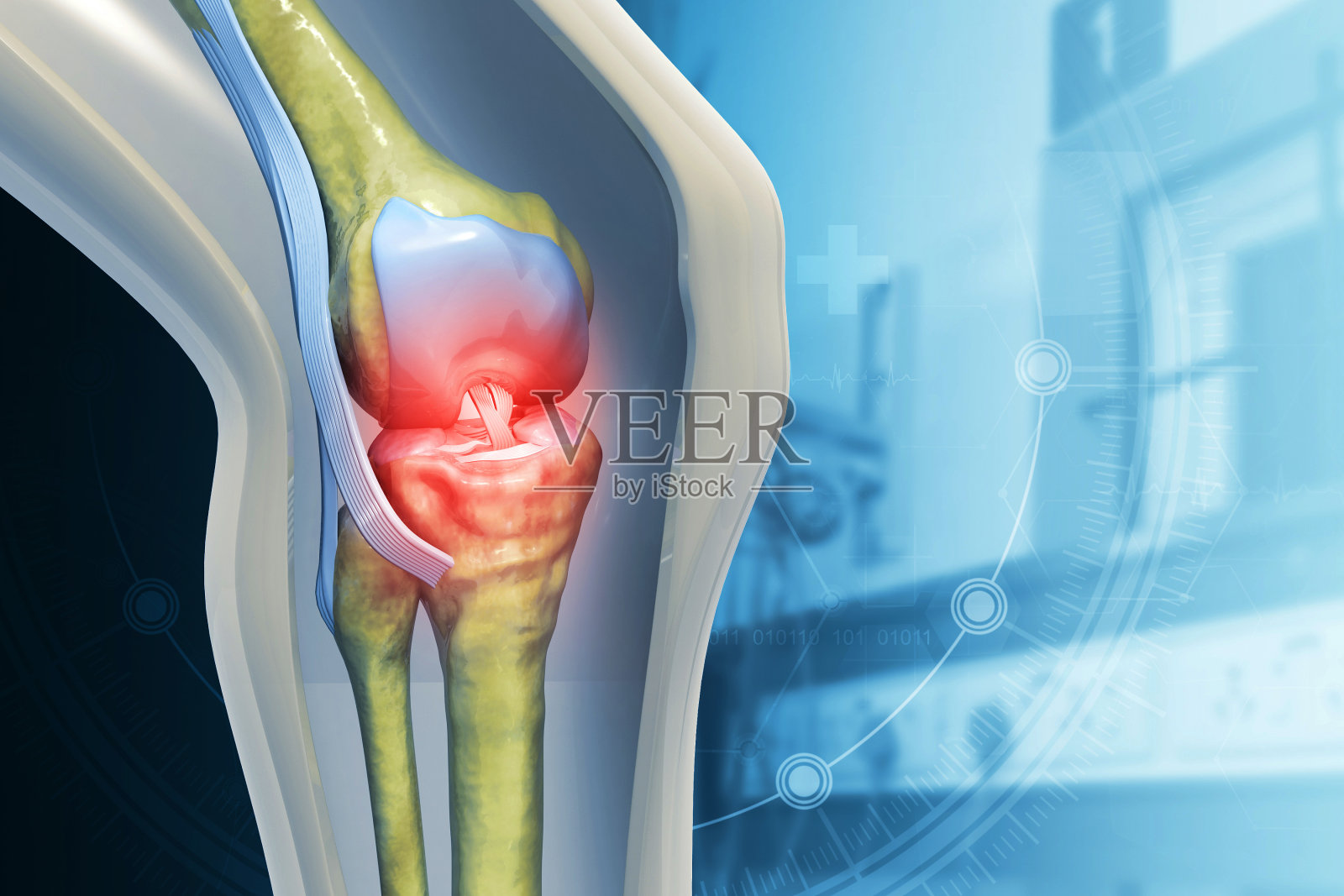 膝关节疼痛。暗背景的肌腱问题和关节炎症。三维演示照片摄影图片