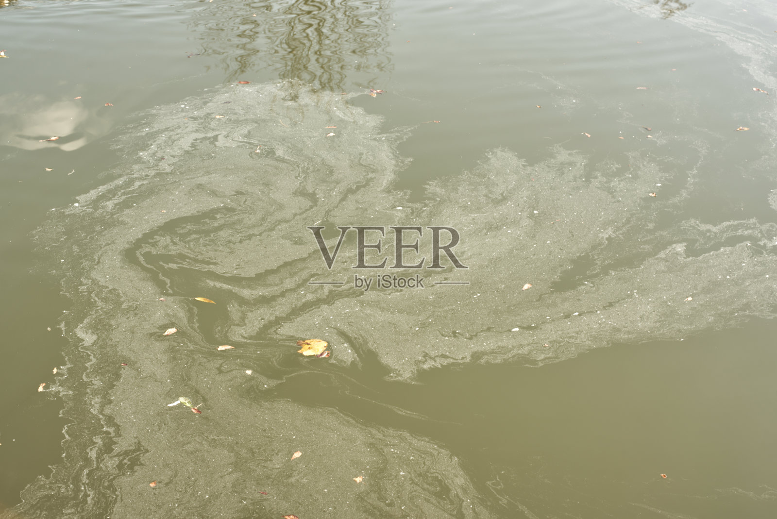 背景照片摄影图片