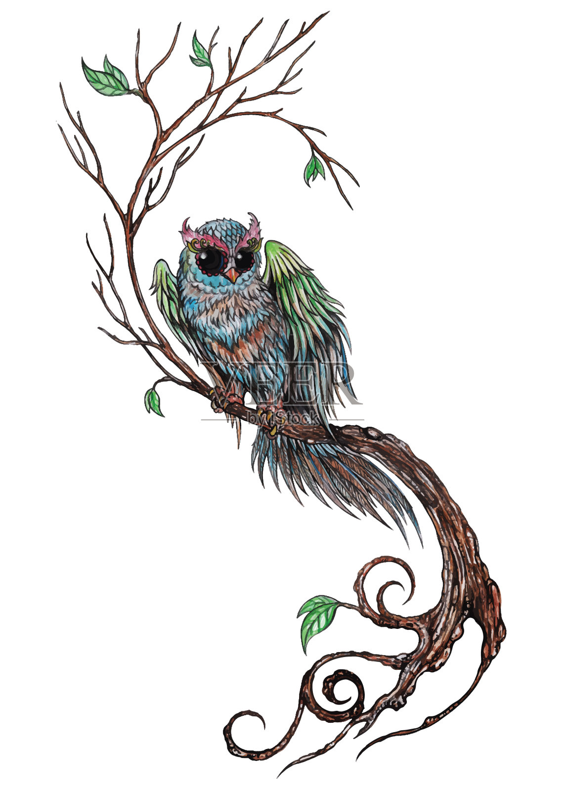 树上有一只漂亮的猫头鹰。插画图片素材