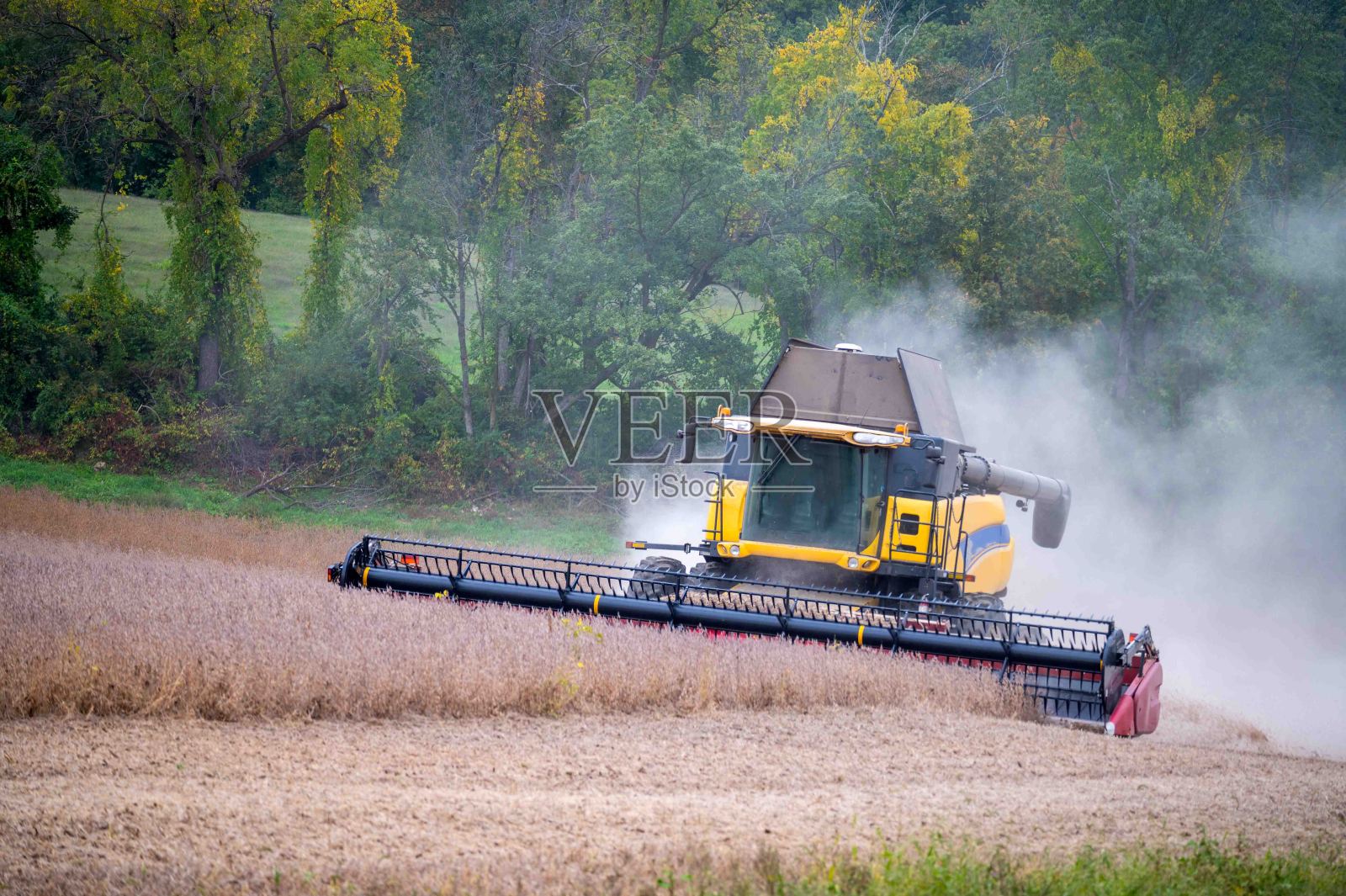 联合收割机在农村农业山坡上收获大豆作物时扬起尘土照片摄影图片