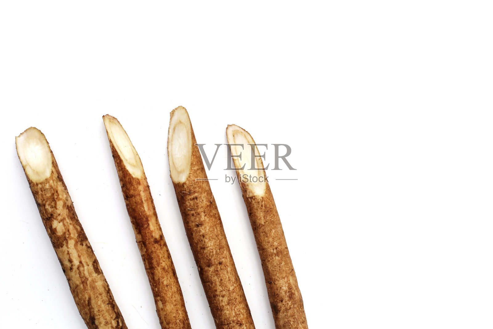 牛蒡根(Gobo)在白色背景。照片摄影图片