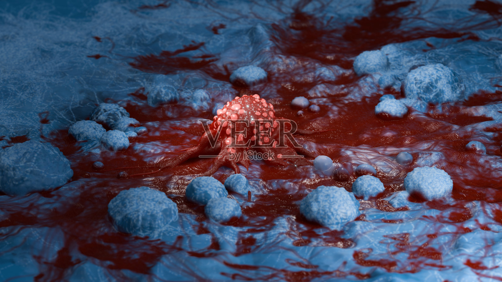 癌细胞vis照片摄影图片