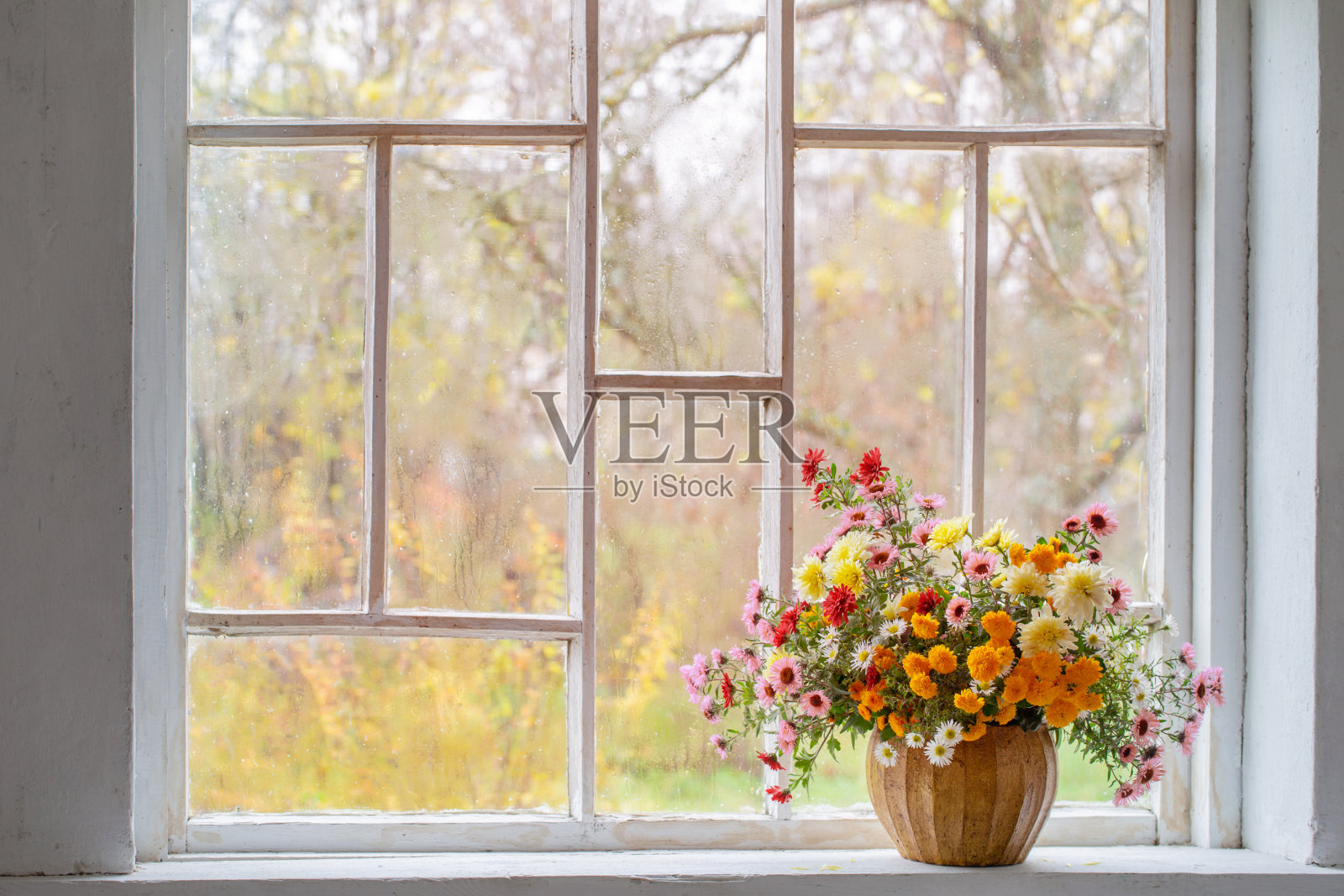 一束五颜六色的菊花在花瓶在白色的旧内部照片摄影图片