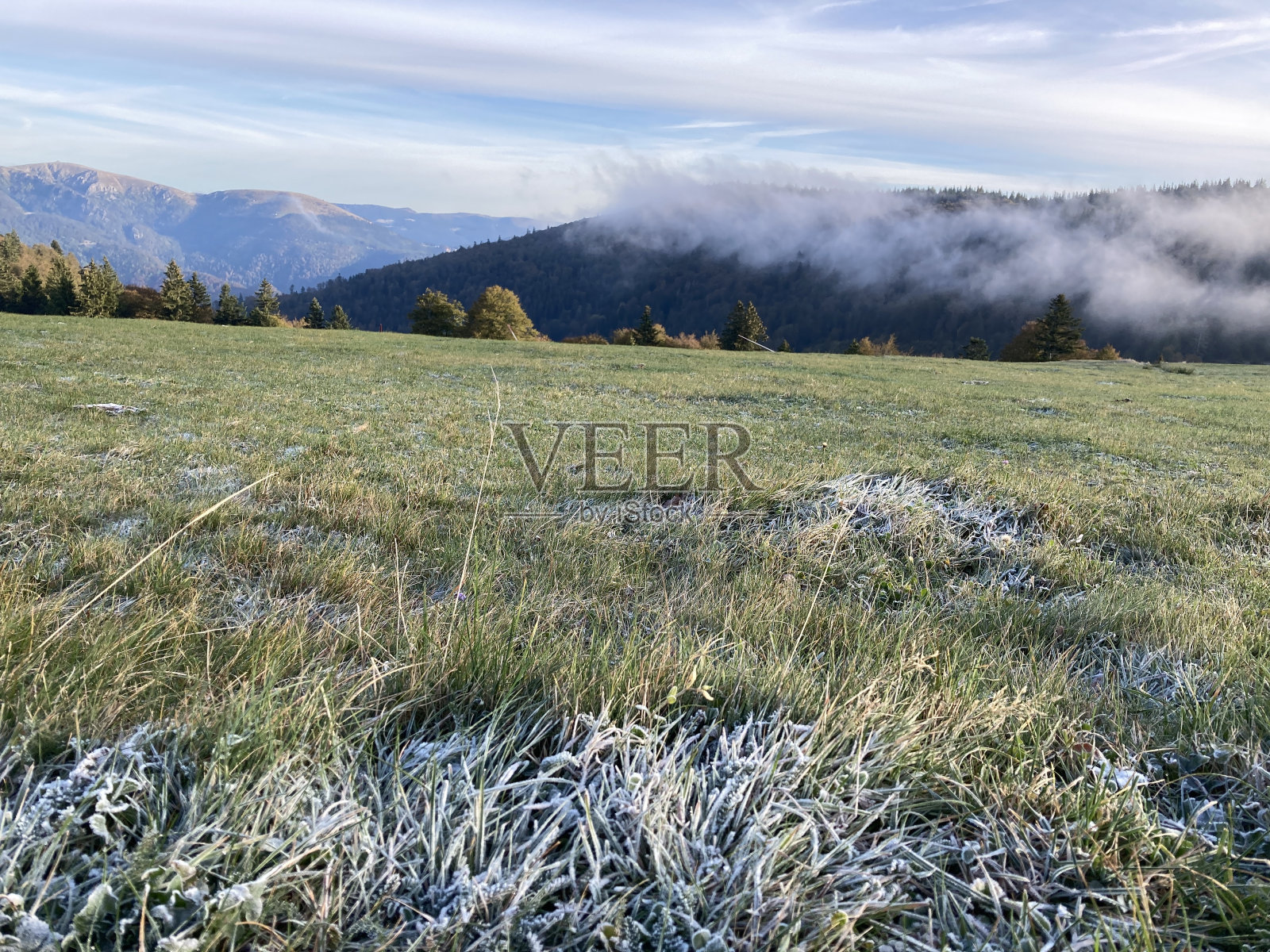 在法国孚日山脉的乌夫瑞恩农场附近照片摄影图片