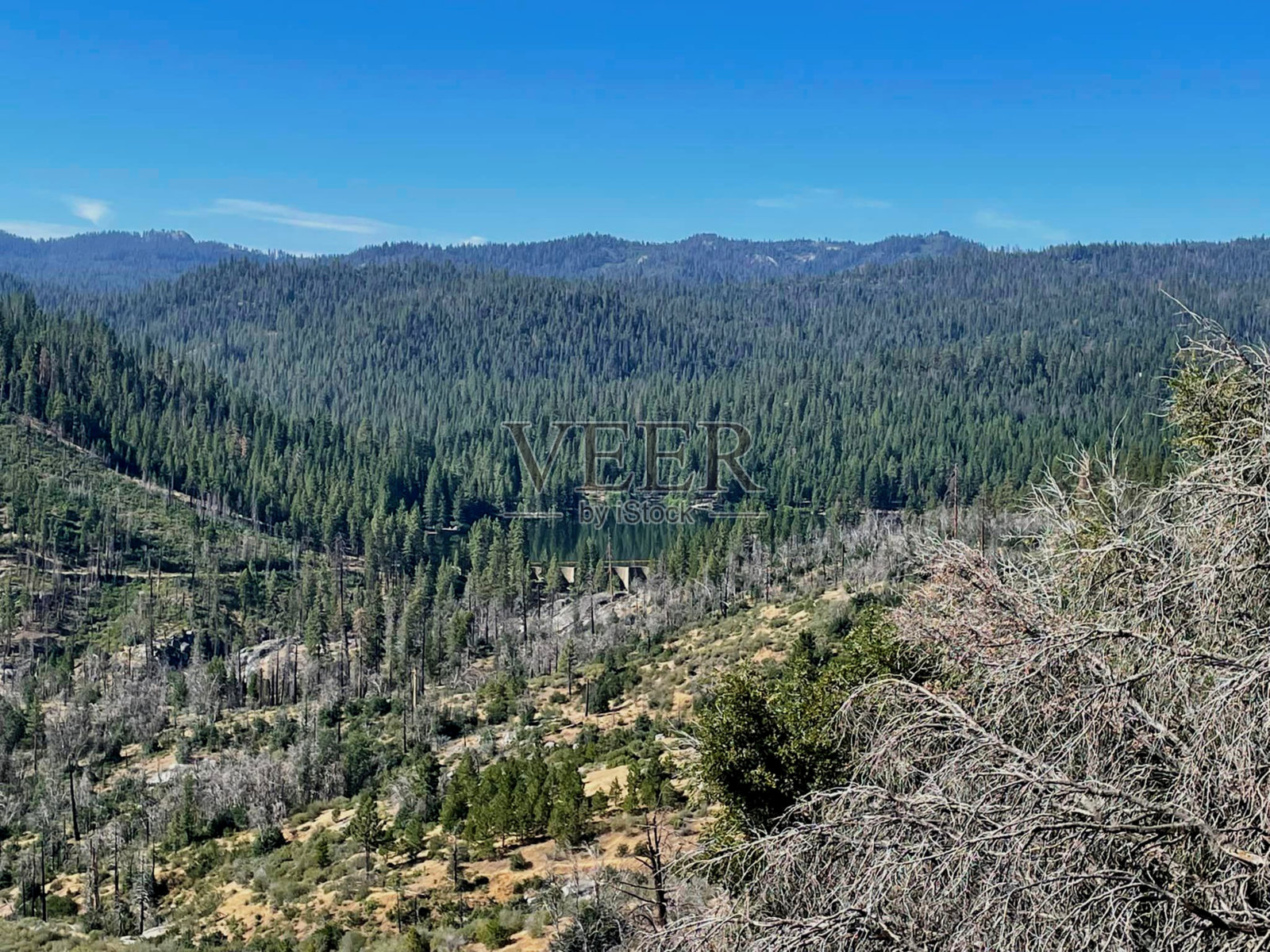 从山谷的顶部看，背景是休谟湖的山脉照片摄影图片