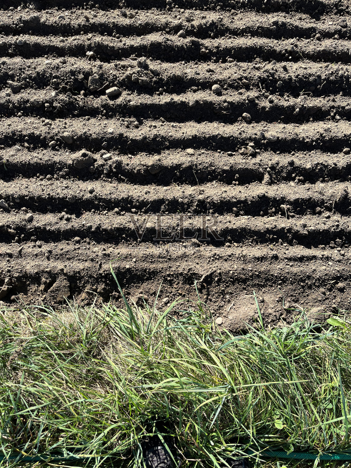 英亩照片摄影图片