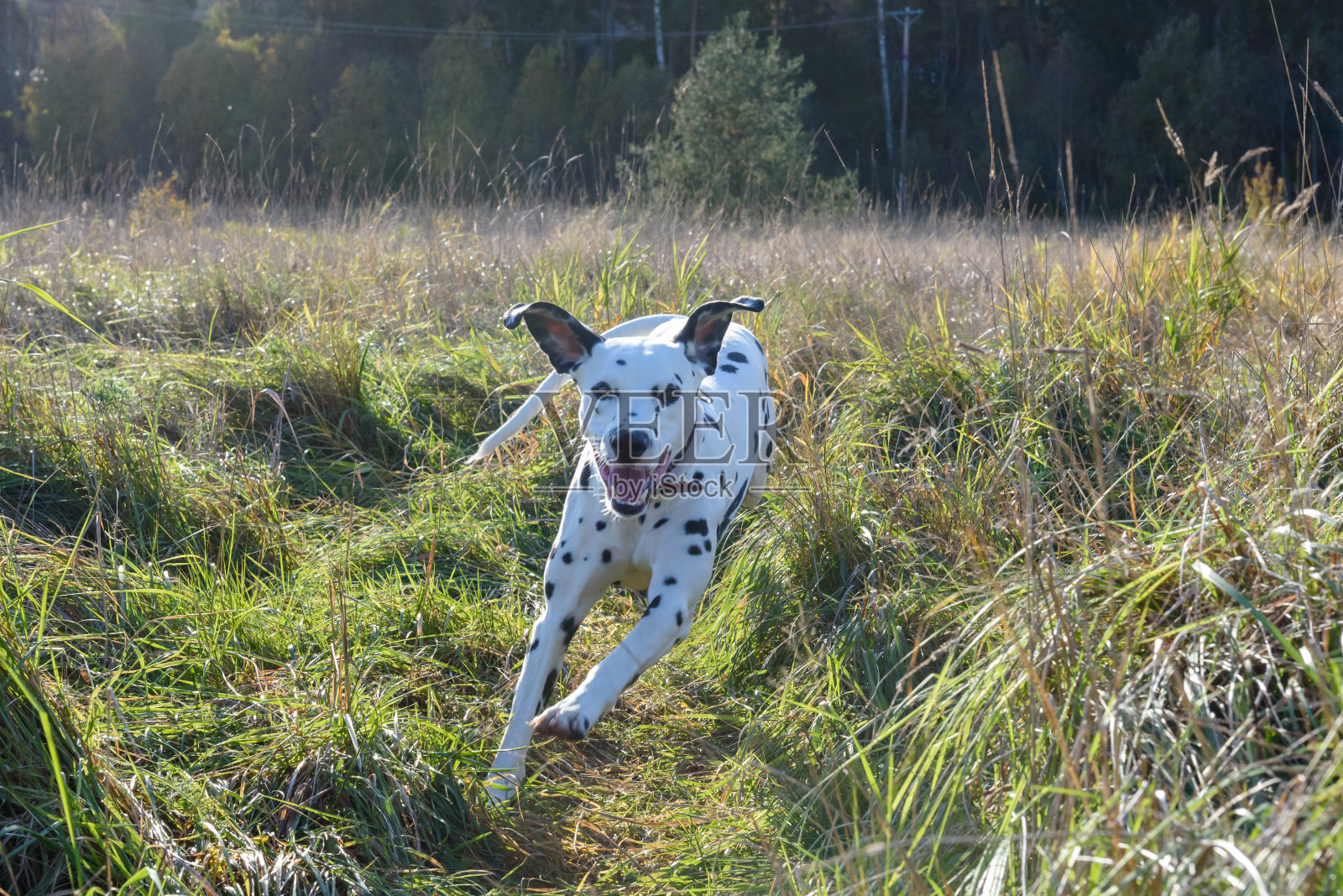 Stelton Lontoonrae照片摄影图片