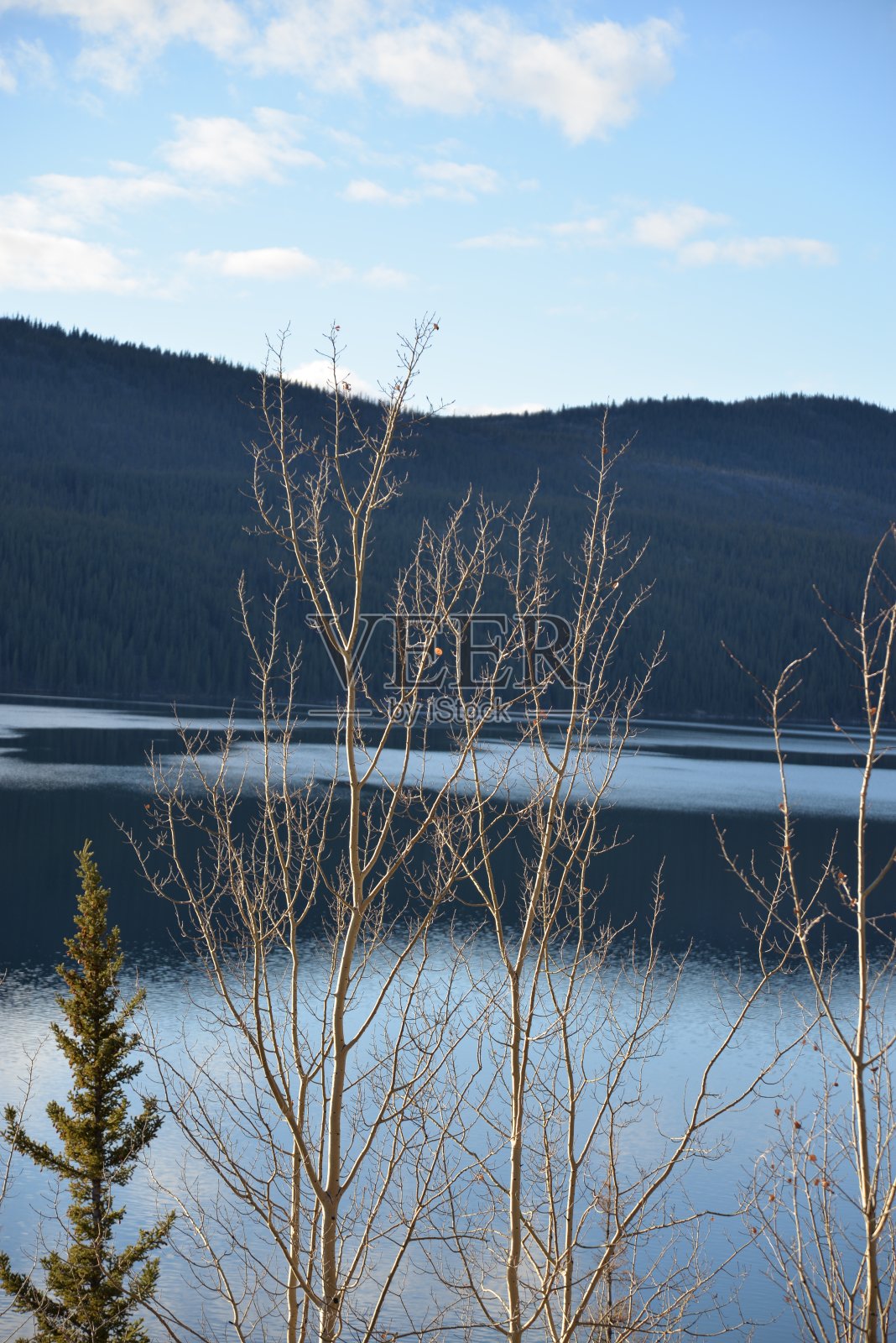 阿拉斯加公路上北落基山脉的景色照片摄影图片